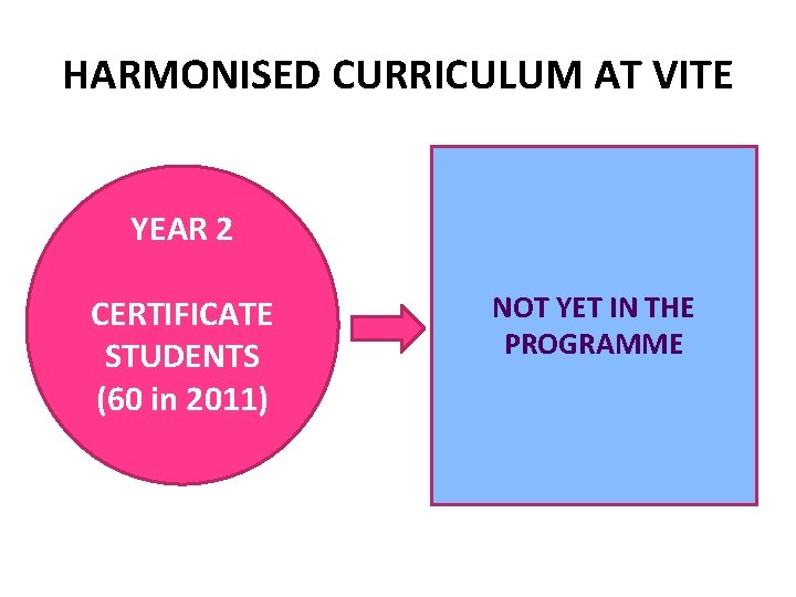 HARMONISED CURRICULUM AT VITE YEAR 2 CERTIFICATE STUDENTS (60 in 2011) NOT YET IN