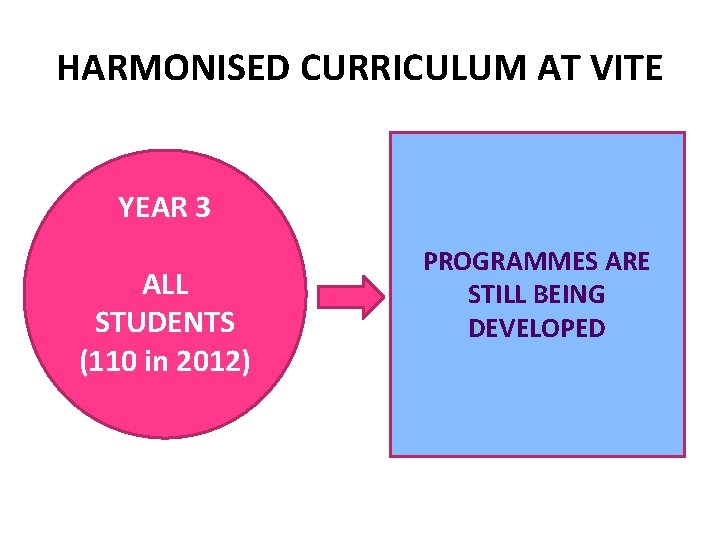 HARMONISED CURRICULUM AT VITE YEAR 3 ALL STUDENTS (110 in 2012) PROGRAMMES ARE STILL