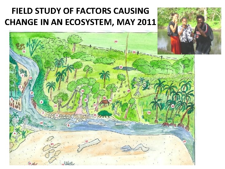 FIELD STUDY OF FACTORS CAUSING CHANGE IN AN ECOSYSTEM, MAY 2011 