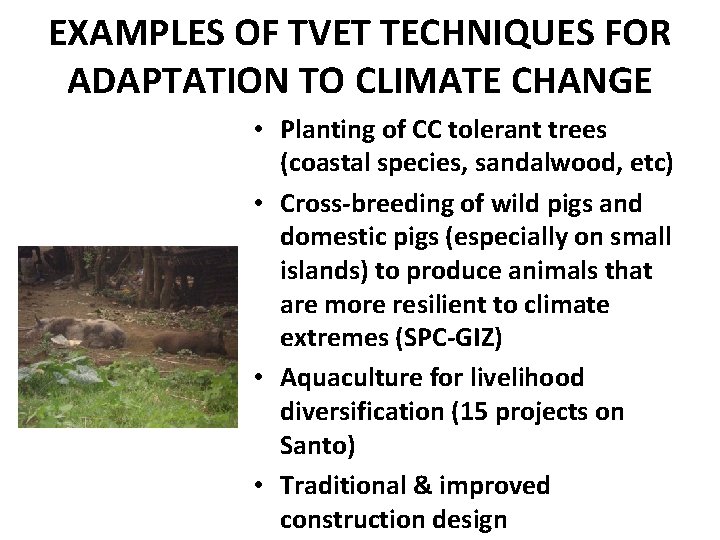 EXAMPLES OF TVET TECHNIQUES FOR ADAPTATION TO CLIMATE CHANGE • Planting of CC tolerant