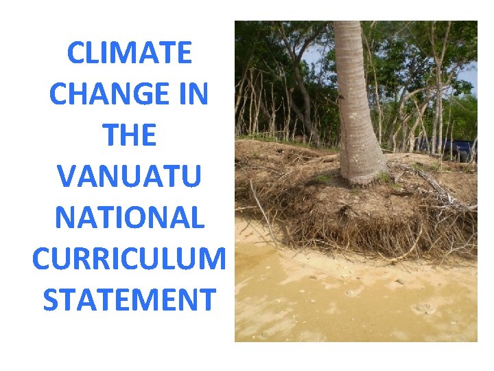 CLIMATE CHANGE IN THE VANUATU NATIONAL CURRICULUM STATEMENT 