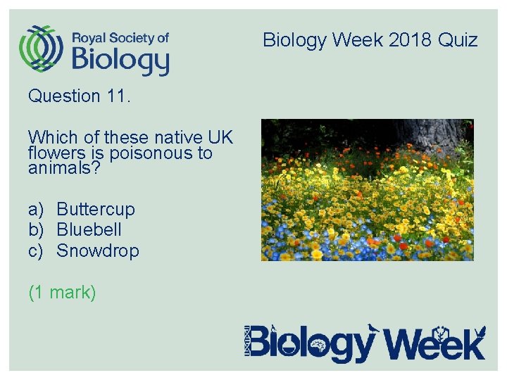 Biology Week 2018 Quiz Question 11. Which of these native UK flowers is poisonous