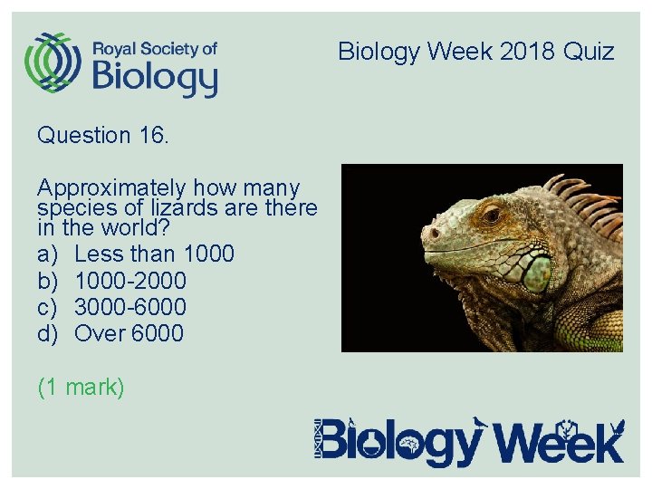 Biology Week 2018 Quiz Question 16. Approximately how many species of lizards are there