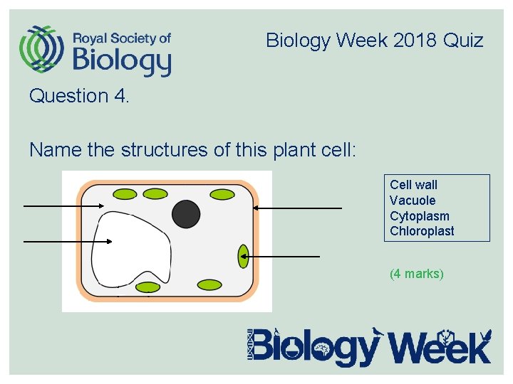 Biology Week 2018 Quiz Question 4. Name the structures of this plant cell: Cell