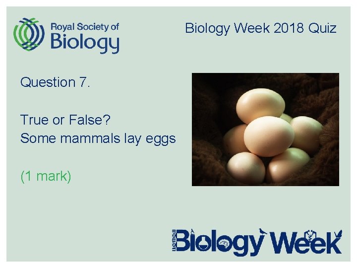 Biology Week 2018 Quiz Question 7. True or False? Some mammals lay eggs (1