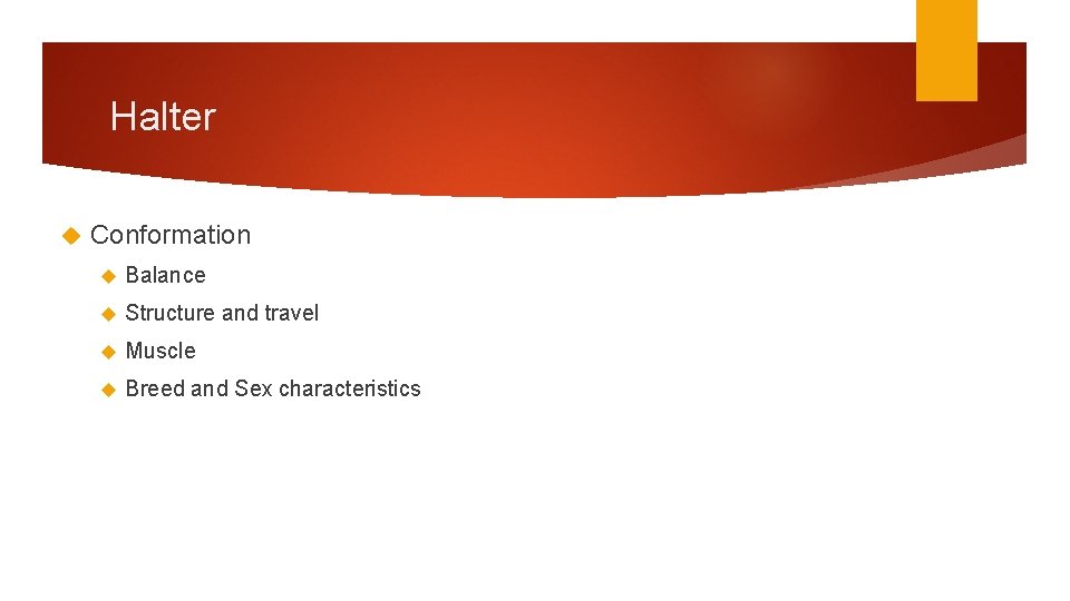 Halter Conformation Balance Structure and travel Muscle Breed and Sex characteristics 