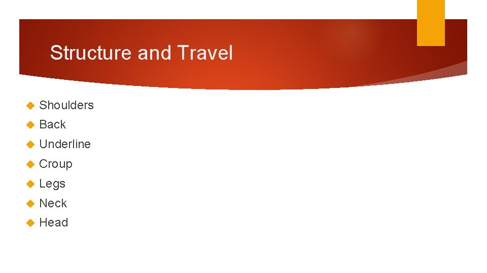 Structure and Travel Shoulders Back Underline Croup Legs Neck Head 