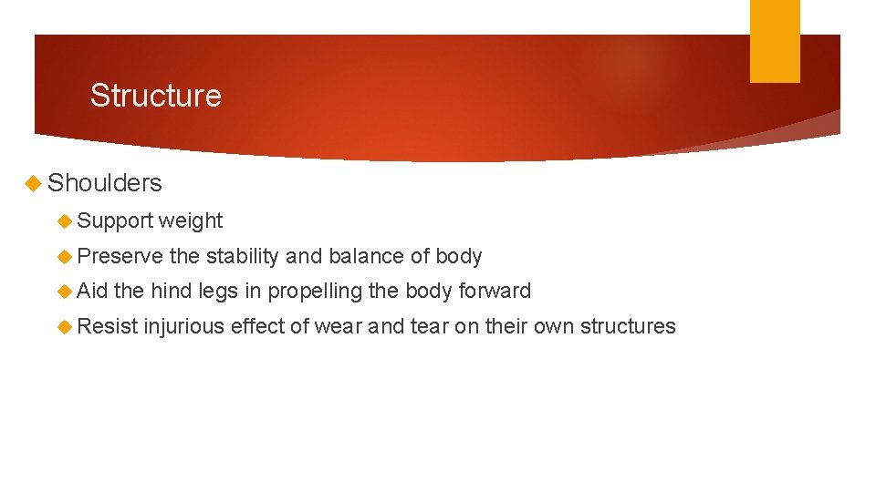 Structure Shoulders Support weight Preserve Aid the stability and balance of body the hind