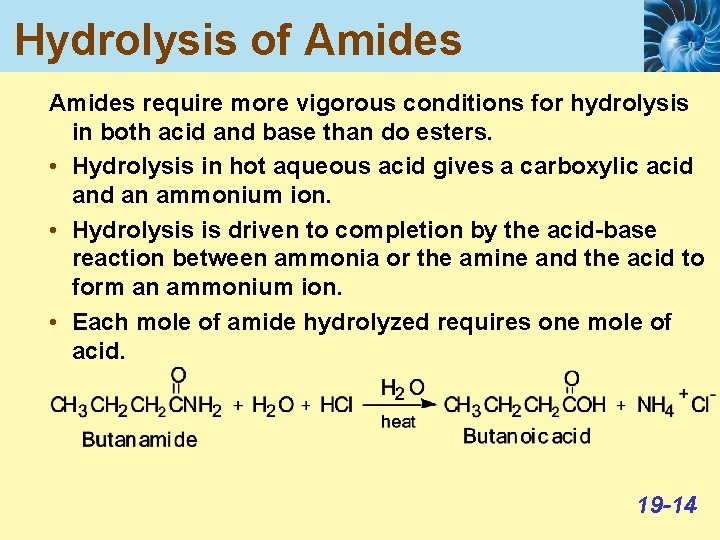 Hydrolysis of Amides require more vigorous conditions for hydrolysis in both acid and base