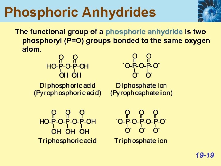 Phosphoric Anhydrides The functional group of a phosphoric anhydride is two phosphoryl (P=O) groups