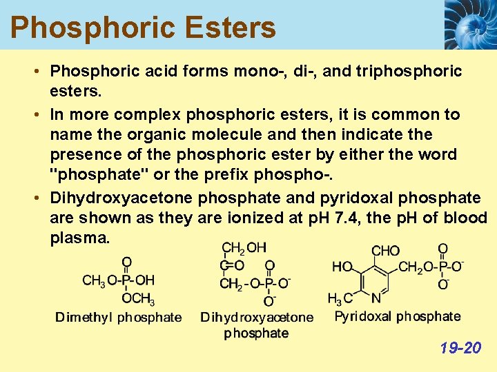 Phosphoric Esters • Phosphoric acid forms mono-, di-, and triphosphoric esters. • In more