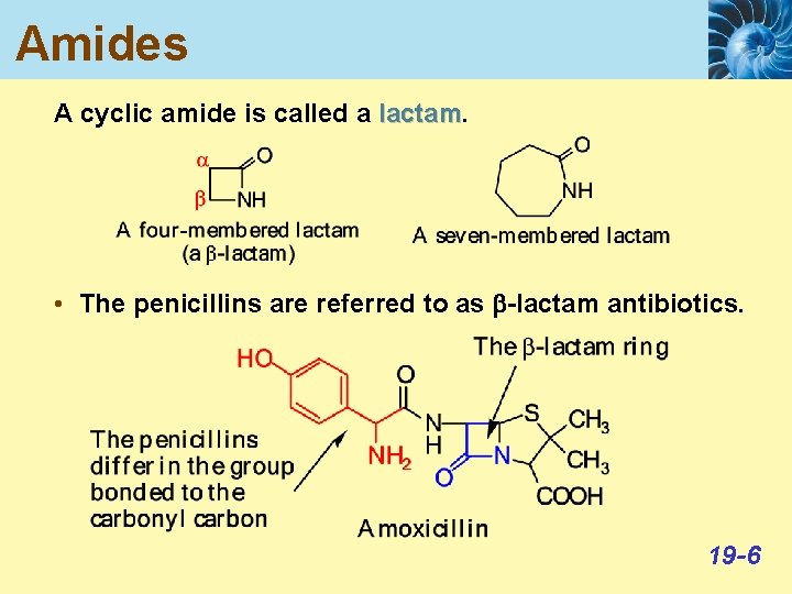 Amides A cyclic amide is called a lactam • The penicillins are referred to