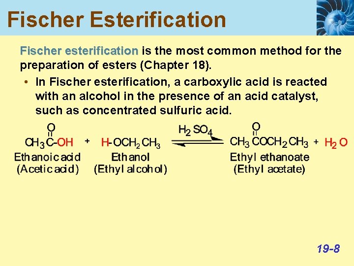 Fischer Esterification Fischer esterification is the most common method for the preparation of esters