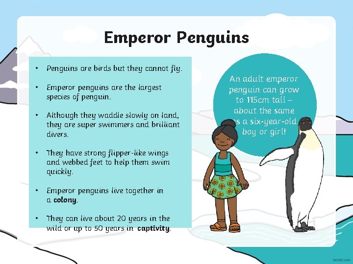 Emperor Penguins • Penguins are birds but they cannot fly. • Emperor penguins are