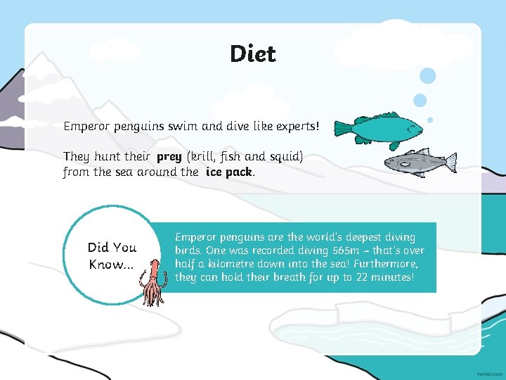 Diet Emperor penguins swim and dive like experts! They hunt their prey (krill, fish
