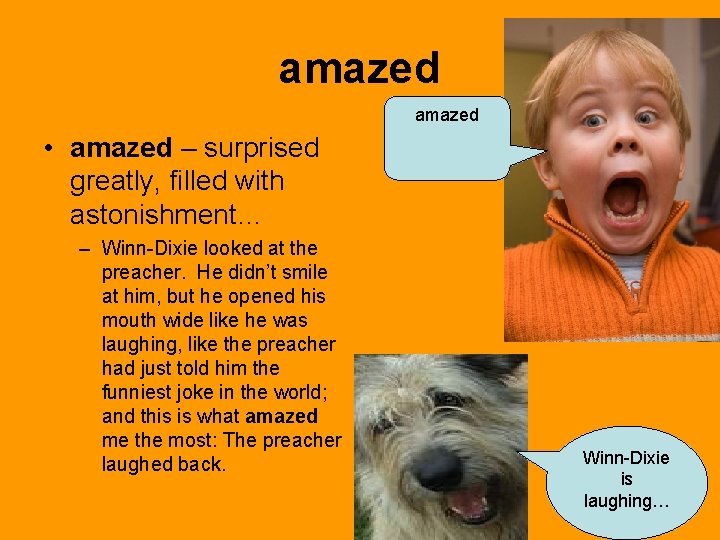 amazed • amazed – surprised greatly, filled with astonishment… – Winn-Dixie looked at the