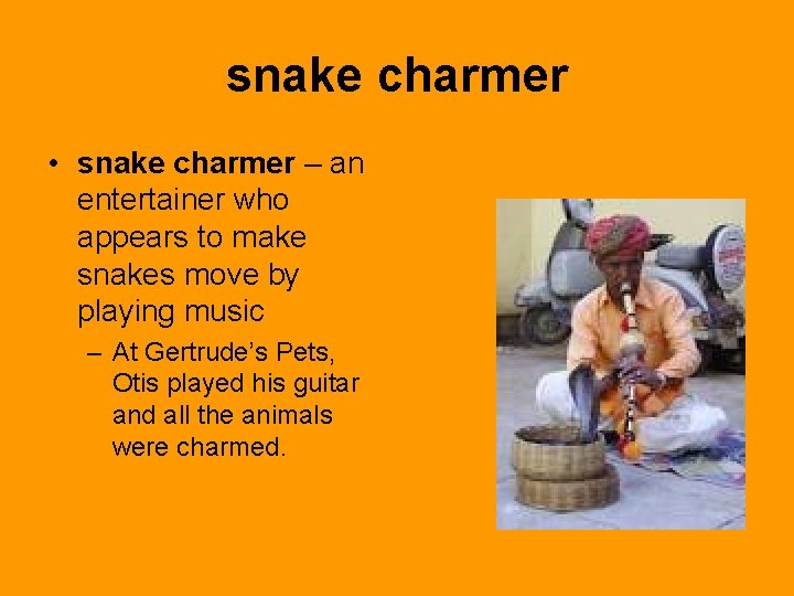 snake charmer • snake charmer – an entertainer who appears to make snakes move