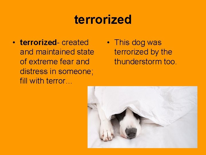 terrorized • terrorized- created and maintained state of extreme fear and distress in someone;