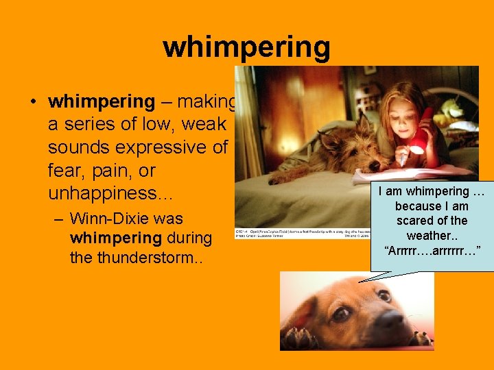 whimpering • whimpering – making a series of low, weak sounds expressive of fear,