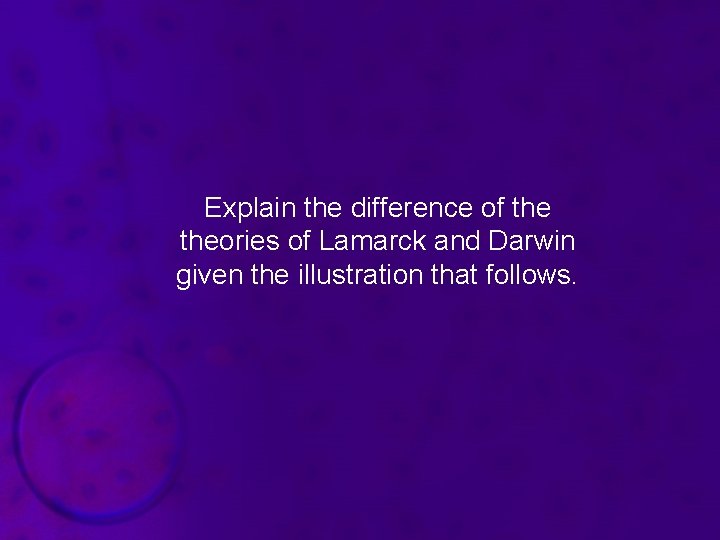 Explain the difference of theories of Lamarck and Darwin given the illustration that follows.