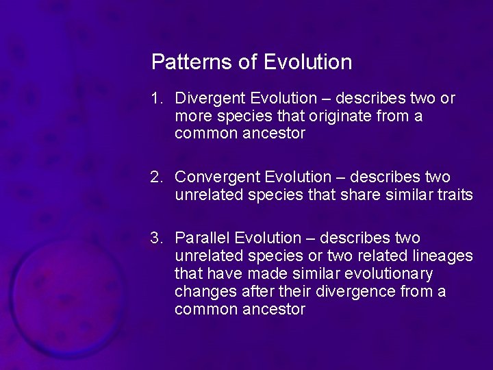 Patterns of Evolution 1. Divergent Evolution – describes two or more species that originate