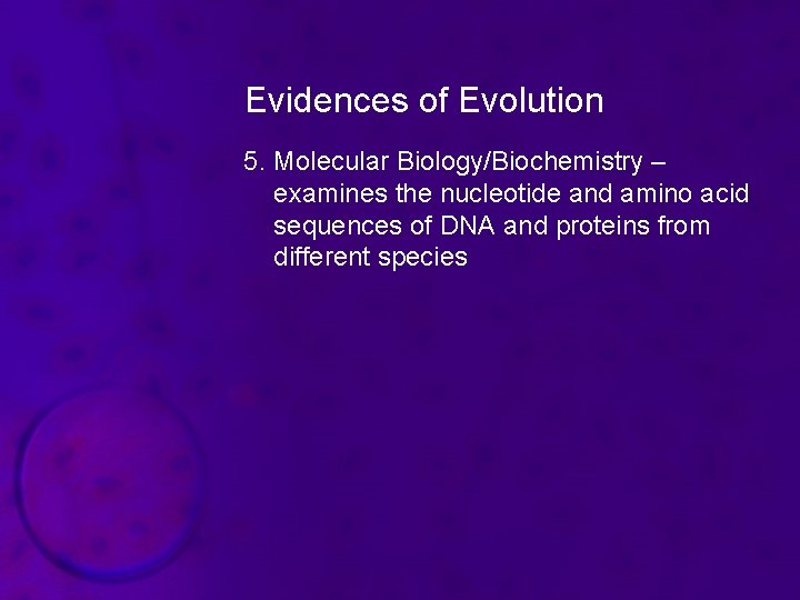 Evidences of Evolution 5. Molecular Biology/Biochemistry – examines the nucleotide and amino acid sequences