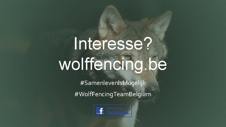 Interesse? wolffencing. be #Samenleven. Is. Mogelijk #Wolf. Fencing. Team. Belgium 