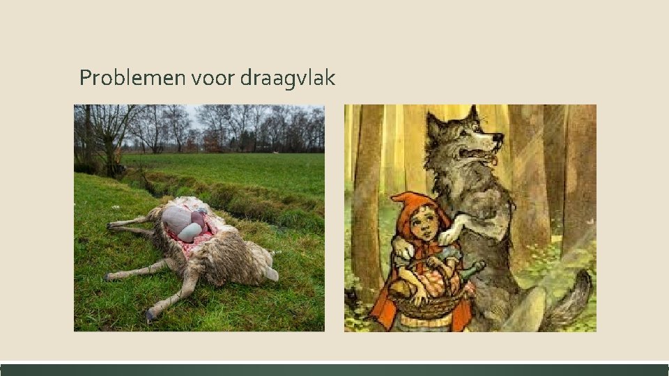 Problemen voor draagvlak 