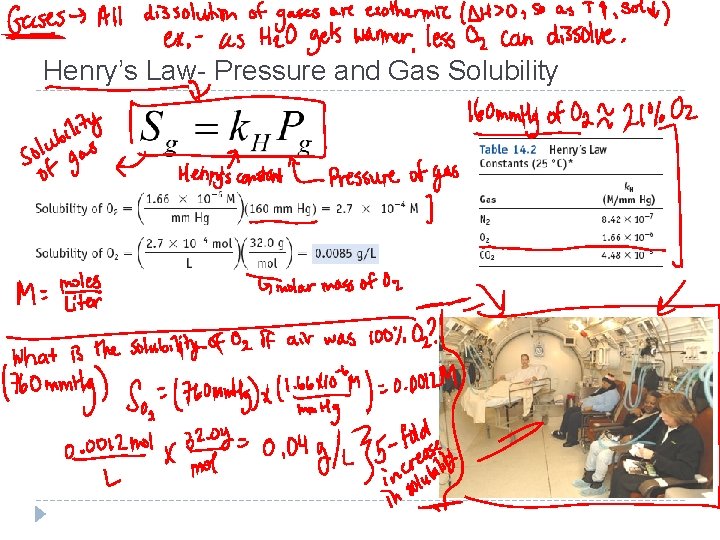 Henry’s Law- Pressure and Gas Solubility 