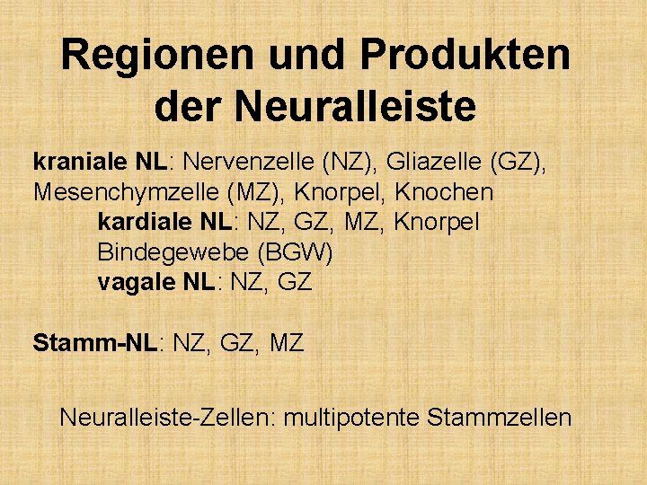Regionen und Produkten der Neuralleiste kraniale NL: Nervenzelle (NZ), Gliazelle (GZ), Mesenchymzelle (MZ), Knorpel,