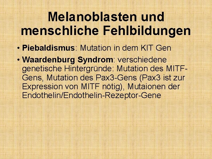 Melanoblasten und menschliche Fehlbildungen • Piebaldismus: Mutation in dem KIT Gen • Waardenburg Syndrom: