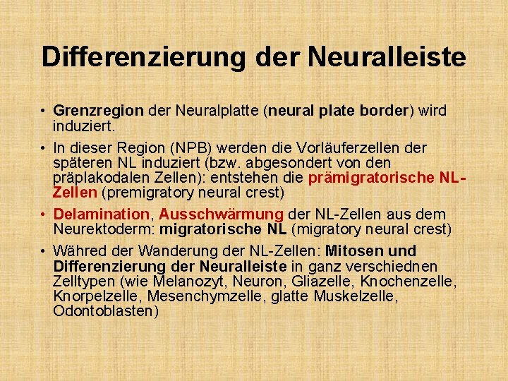 Differenzierung der Neuralleiste • Grenzregion der Neuralplatte (neural plate border) wird induziert. • In