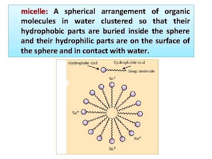 micelle: A spherical arrangement of organic molecules in water clustered so that their hydrophobic