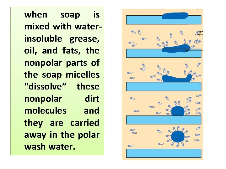 when soap is mixed with waterinsoluble grease, oil, and fats, the nonpolar parts of