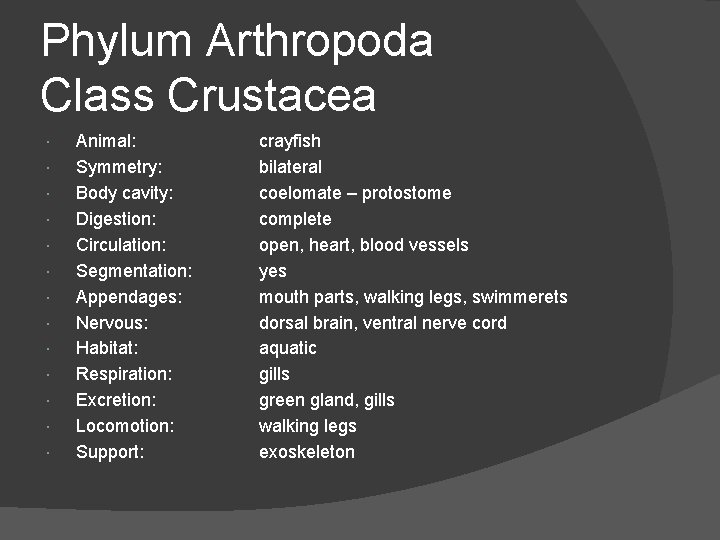 Phylum Arthropoda Class Crustacea Animal: Symmetry: Body cavity: Digestion: Circulation: Segmentation: Appendages: Nervous: Habitat: