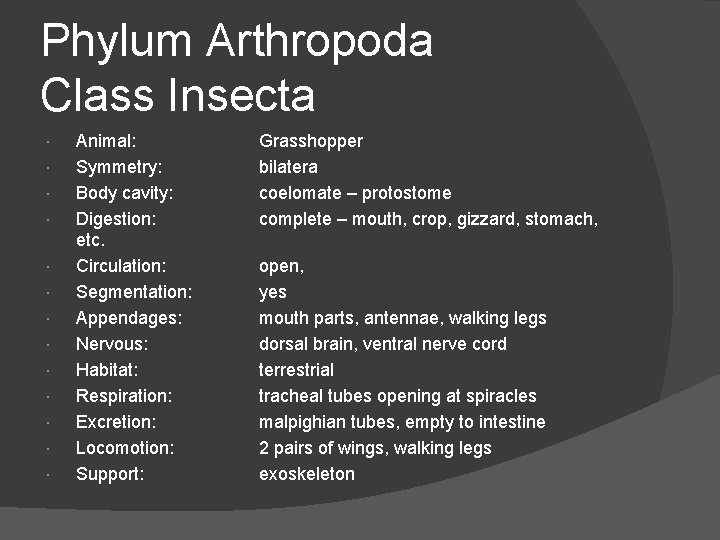 Phylum Arthropoda Class Insecta Animal: Symmetry: Body cavity: Digestion: etc. Circulation: Segmentation: Appendages: Nervous: