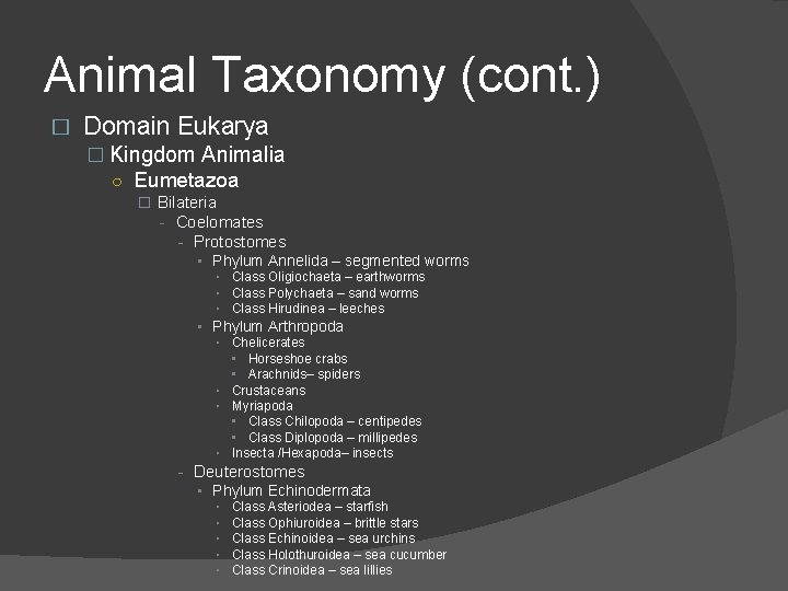 Animal Taxonomy (cont. ) � Domain Eukarya � Kingdom Animalia ○ Eumetazoa � Bilateria