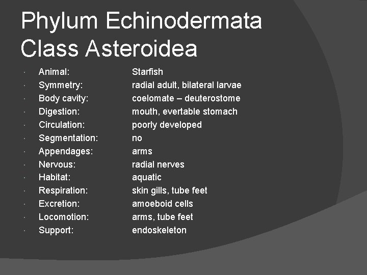 Phylum Echinodermata Class Asteroidea Animal: Symmetry: Body cavity: Digestion: Circulation: Segmentation: Appendages: Nervous: Habitat: