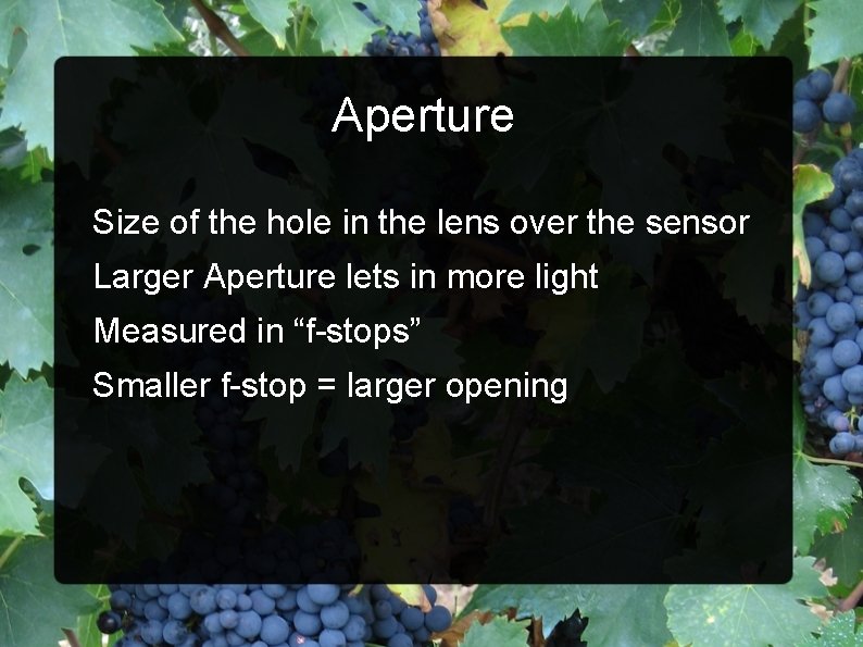 Aperture Size of the hole in the lens over the sensor Larger Aperture lets