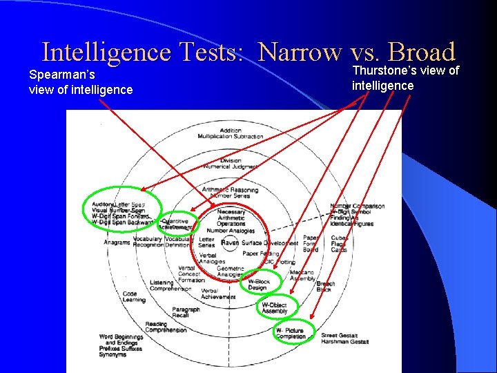 Intelligence Tests: Narrow vs. Broad Thurstone’s view of Spearman’s view of intelligence 