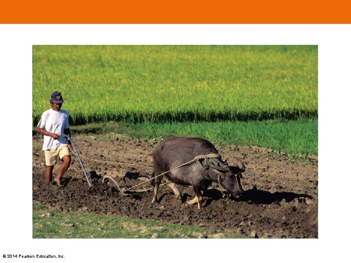 © 2014 Pearson Education, Inc. 