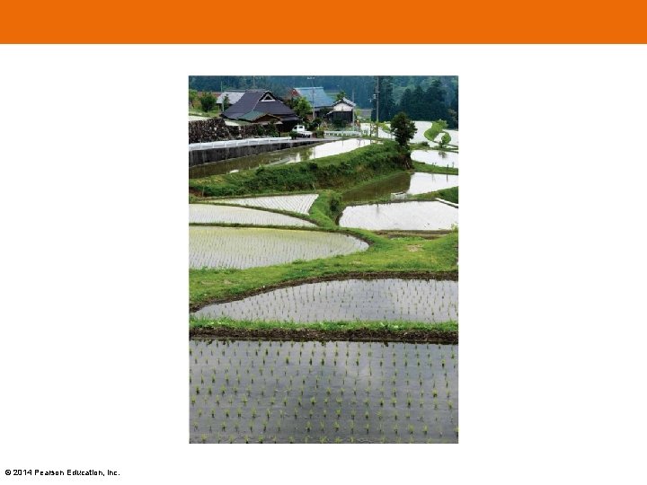 © 2014 Pearson Education, Inc. 