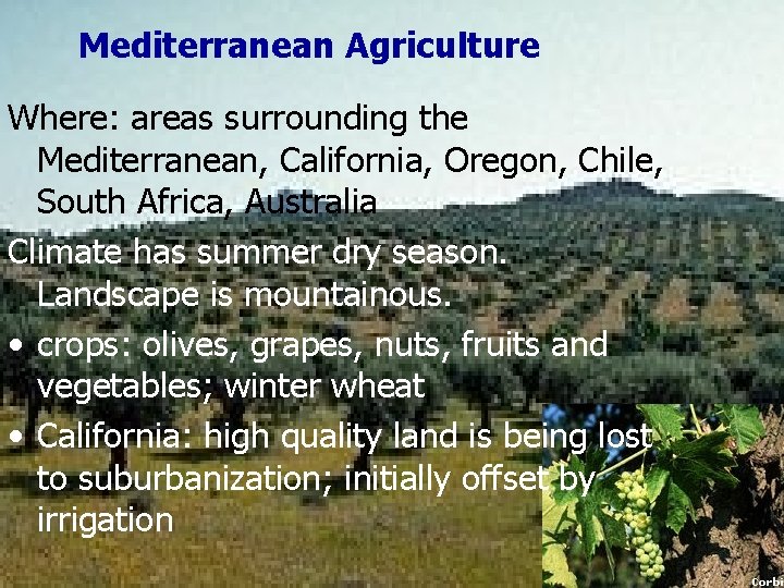 Mediterranean Agriculture Where: areas surrounding the Mediterranean, California, Oregon, Chile, South Africa, Australia Climate