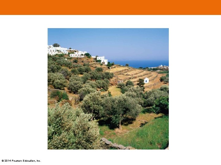 © 2014 Pearson Education, Inc. 