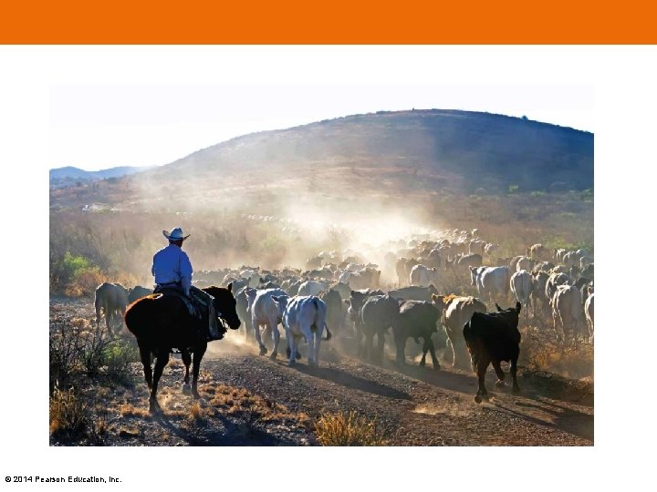 © 2014 Pearson Education, Inc. 