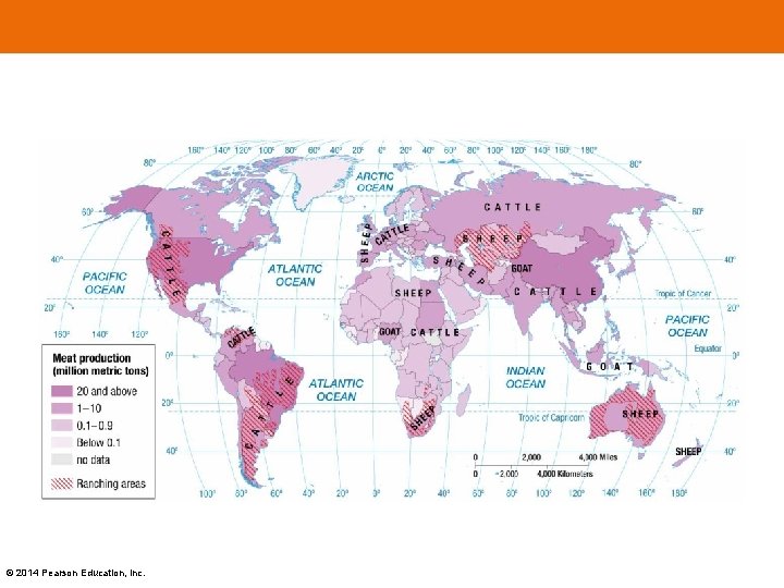 © 2014 Pearson Education, Inc. 