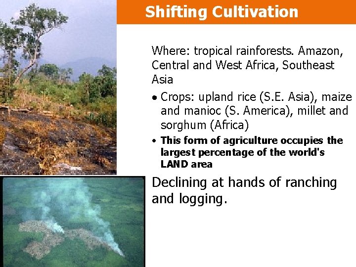 Shifting Cultivation Where: tropical rainforests. Amazon, Central and West Africa, Southeast Asia · Crops: