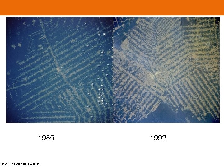 1985 © 2014 Pearson Education, Inc. 1992 