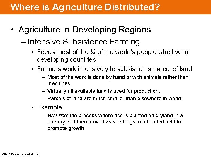 Where is Agriculture Distributed? • Agriculture in Developing Regions – Intensive Subsistence Farming •
