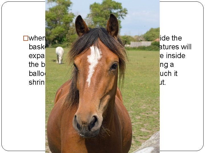 Why doesnt a basketball bounce in the winter